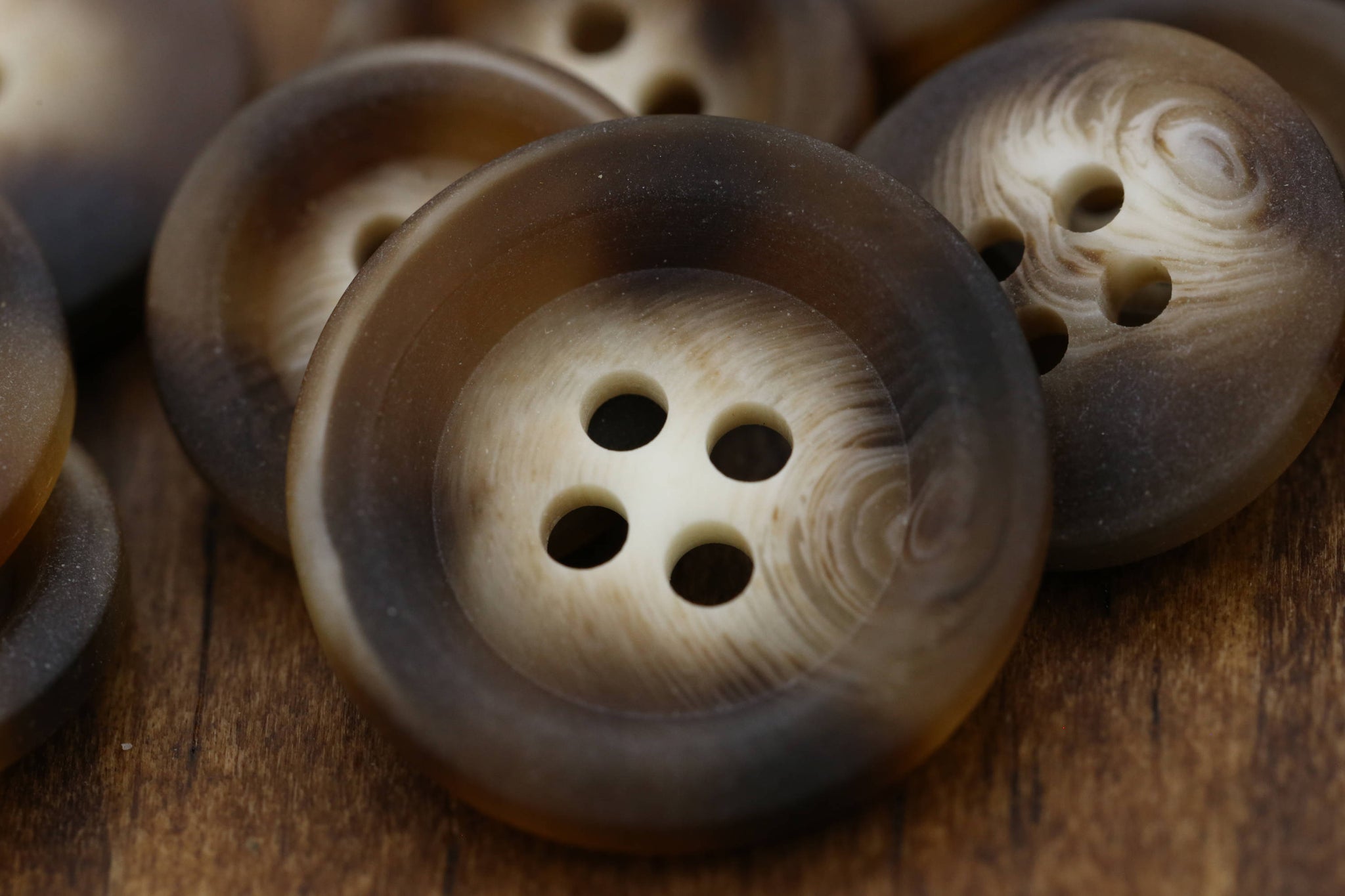 12 Tortoise Plastic Button